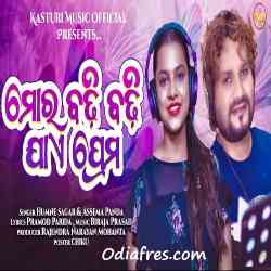 Gunehgar sambalpuri online song